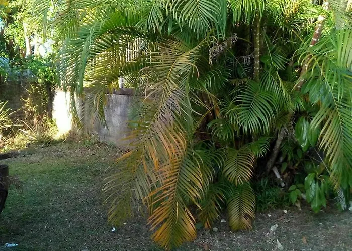 Bungalow With One Bedroom In Lamentin, With Pool Access, Enclosed Gard